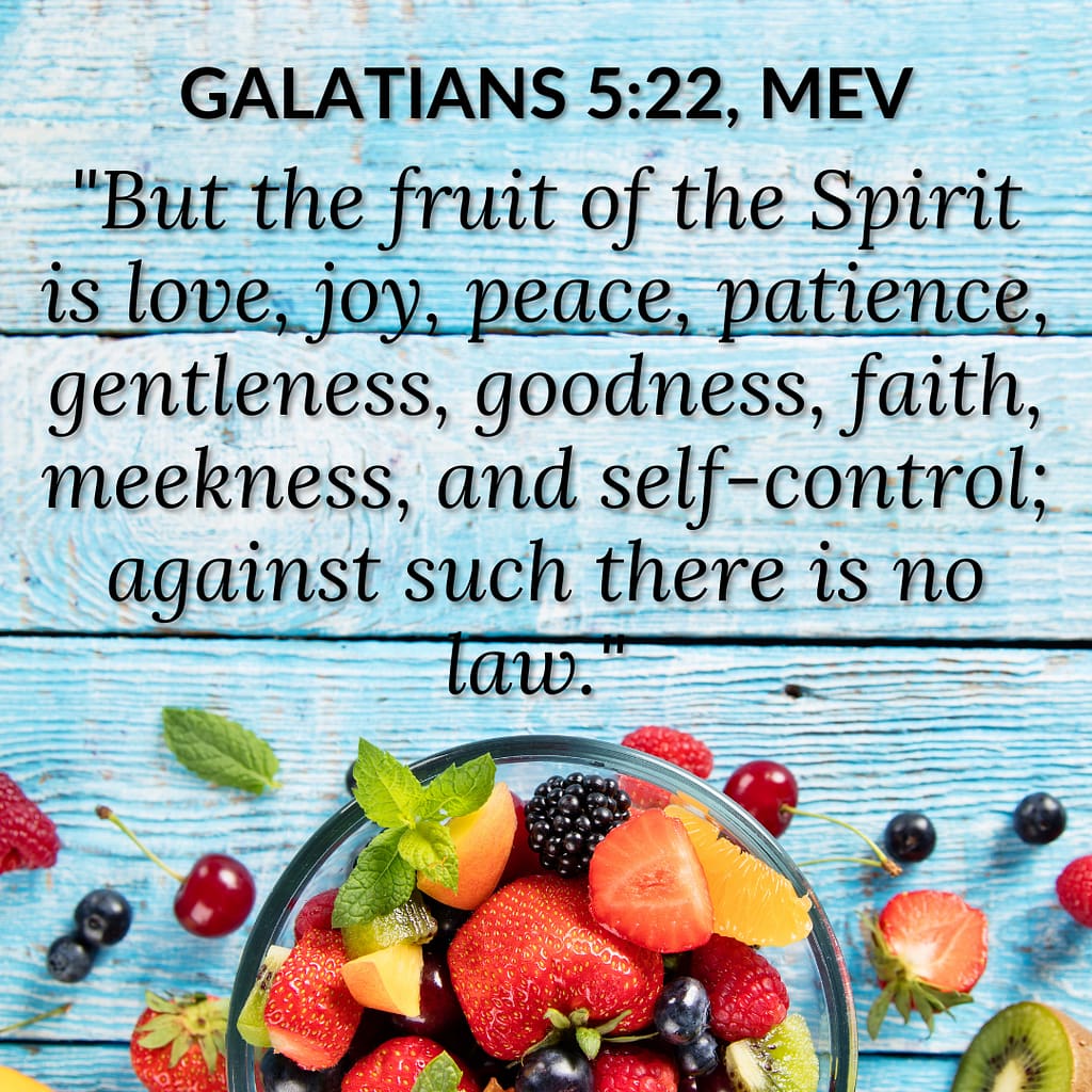 Patience- The Fourth Fruit of the Spirit