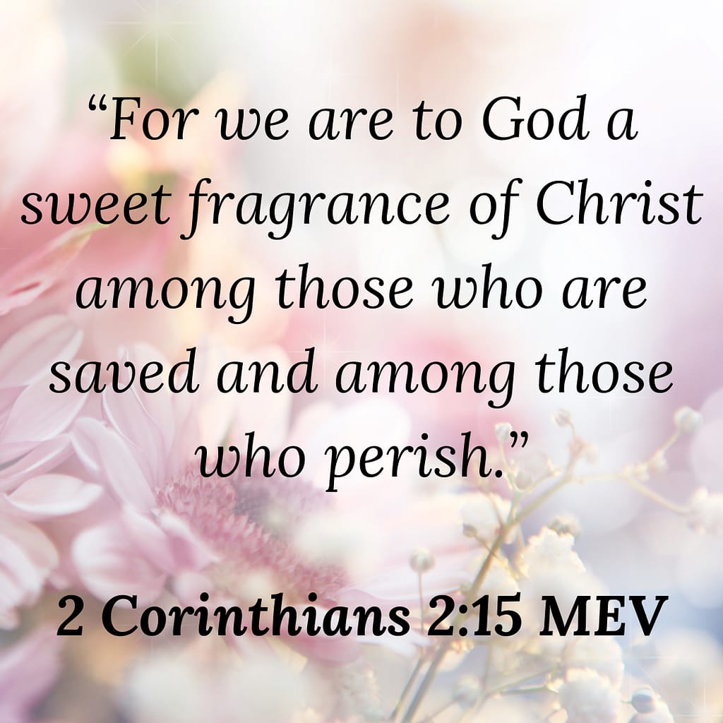 You Are Perfected In Christ!